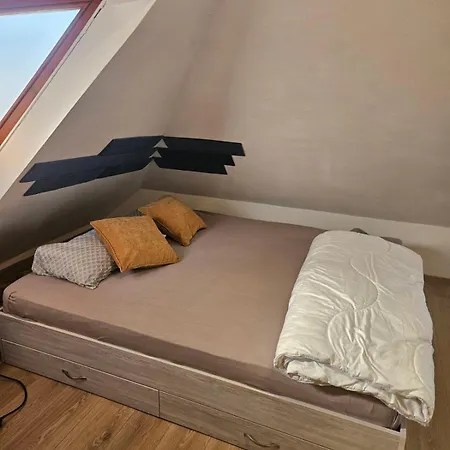 Cozy *